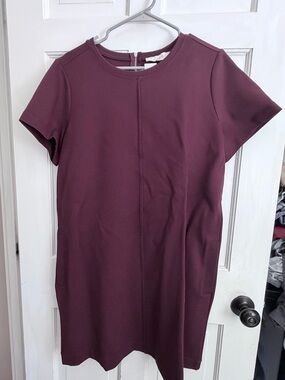 LOFT Short Sleeve Shift Dress in Plum Berry